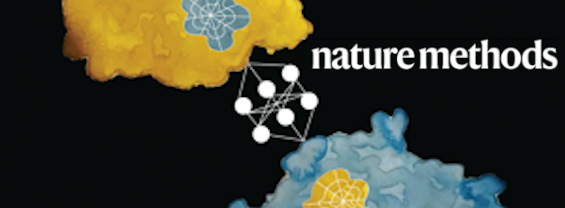 Nature Methods logo